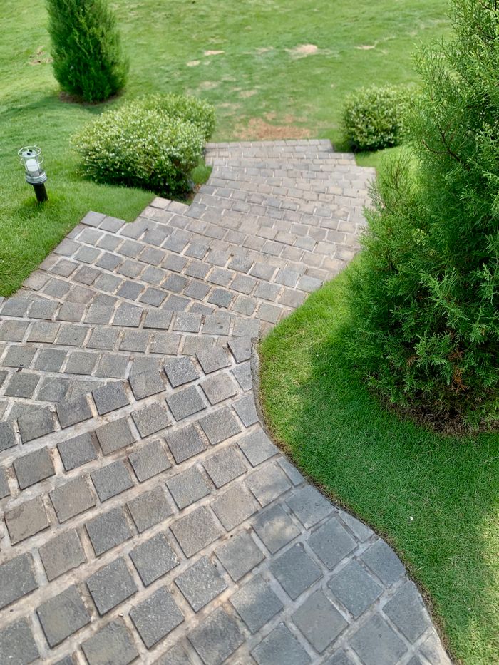 Charming brick footpath surrounded by green foliage. Perfect for serene garden settings.