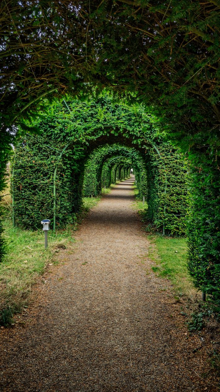 Serene green archway path in Kilkenny, Ireland surrounded by lush hedges.