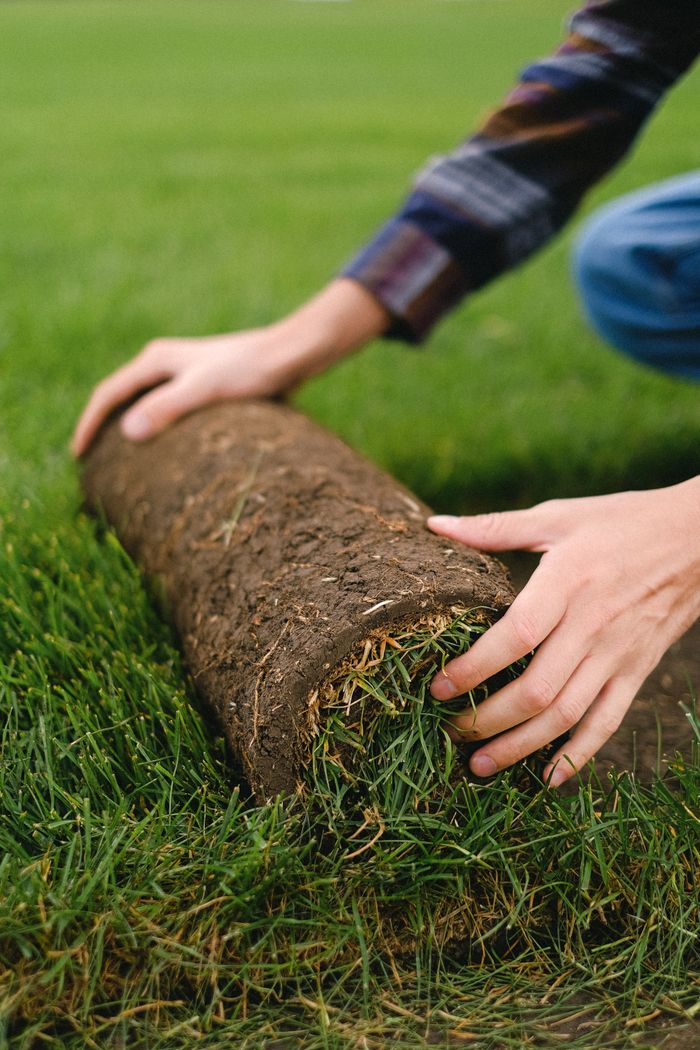 Unrecognizable male farmer rolling new sod grass onto ground while working on grassy agricultural plantation in countryside on blurred background
